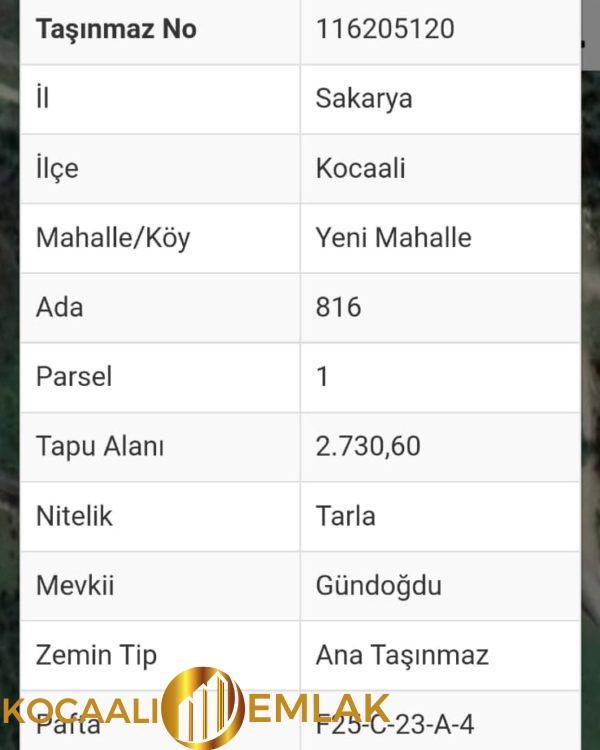 WhatsApp-Image-2022-06-21-at-18.41.16-600x750